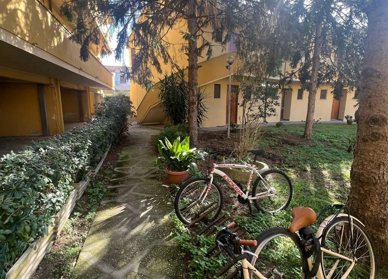 Buddy Apartment Torre del Lago Puccini